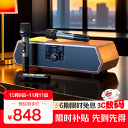 山水（SANSUI）N16家庭KTV音響套裝家用K歌音響桌面卡拉ok一體機桌面HiFi電視音響插卡音樂(lè )播放器雙U段話(huà)筒