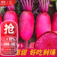 大禹正宗天津沙窩蘿卜種子大全農科院四季水果冰糖心青羅卜籽夏天秋季 鳳梨水果蘿卜種子100粒3袋