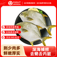 環(huán)球水產(chǎn) 冷凍南海二去金鯧魚(yú)900g2條 去鰓去臟 深海魚(yú)魚(yú)類(lèi)  中秋家庭聚餐