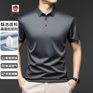 AEMAPE美國蘋(píng)果高端桑蠶絲短袖t恤透氣POLO衫夏季新款商務(wù)休閑上衣純色 灰色 2XL 建議150-170斤