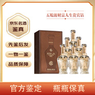 五糧液（WULIANGYE）【名酒鑒真】 五糧液財富人生52度濃香型白酒禮盒裝送禮收藏自飲 500mL 6瓶 五糧液財富人生貴賓鉆