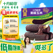 十月稻田 黑糯玉米1.76kg（220g*8根）東北紫玉米 花青素 雜糧禮盒