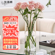 生喜朗玻璃花瓶透明插花瓶干花仿真花假花富貴竹水培容器客廳裝飾擺件