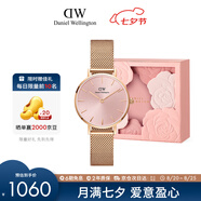 丹尼爾惠靈頓（DanielWellington）DW手表女歐美表簡(jiǎn)約鋼帶石英女士手表送女友七夕禮物DW00100368