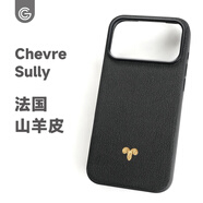 GWW法國山羊皮蘋(píng)果17pro max手機殼iphone16pro磁吸保護殼高端真皮 輕奢原創(chuàng  )銅飾 防摔防滑新款 17ProMax 單殼/法羊