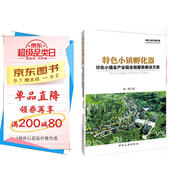 特色小鎮孵化器：特色小鎮全產(chǎn)業(yè)鏈全程服務(wù)解決方案