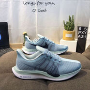 耐克（NIKE）飛馬登月35新款超輕緩震跑步鞋氣墊透氣網(wǎng)面運動(dòng)鞋男女耐磨鞋 薄荷綠 42 標準尺碼