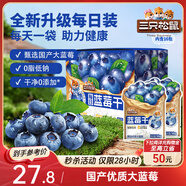 三只松鼠每日藍(lán)莓干256g/16包 無(wú)添加水果干果脯小包裝兒童老人辦公室零食