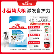 皇家狗糧幼犬狗糧幼犬奶糕寵物小型犬MIJ31全價(jià)犬糧2-10月8KG