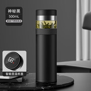 胖東來(lái)德國費施恩保溫杯茶水分離泡茶杯便攜過(guò)濾旅行男士定制水杯子 升級款[茶水分離黑色500ML]