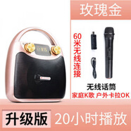 eifer/伊菲爾 廣場(chǎng)舞音響便攜小型迷你手提音箱戶外藍(lán)牙低音炮 升級(jí)版玫瑰金標(biāo)配+無線話筒_藍(lán)牙重低音錄音 官方標(biāo)配