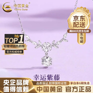 中國(guó)黃金（CHINA GOLD）藍(lán)桉與鳥純銀項(xiàng)鏈女生2025新款吊墜輕奢情人節(jié)生日禮物送女友老婆 足銀*紫藤花開項(xiàng)鏈【品牌禮盒】