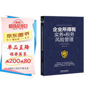 企業(yè)所得稅實務與稅務風險管理