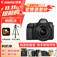 佳能（Canon）佳能6D2 全畫幅單反數(shù)碼相機  4K視頻 高清直播 旅行婚禮拍照 高像素高性能相機 掃街旅拍套裝 