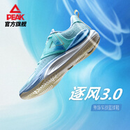 匹克態(tài)極逐風(fēng)3.0丨籃球鞋男鞋2025年夏季新品外場(chǎng)實(shí)戰耐磨防滑運動(dòng)鞋 海灣藍 39