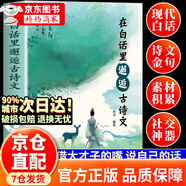 【京東正版】在白話里邂逅古詩文 在白話里邂逅古詩詞 一句頂一萬句 歷代狀元文章精選 中國古代歷代狀元文章 歷年狀元文章精選 清雅詩詞 當白話遇見古詩文 【抖音同款】在白話里邂逅古詩文