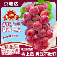 京地達(dá)江蘇妮娜皇后葡萄提子凈重2.8斤單果15g+新鮮水果源頭直發(fā)包郵
