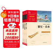 全3冊 四年級下冊課外書(shū) 寶葫蘆的秘密張天翼 小英雄雨來(lái) 繁星春水冰心 四年級下課本推薦閱讀 