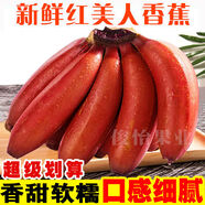 俊怡正宗廣西紅美人香蕉5斤9斤紅皮美人蕉新鮮水果甜非蘋果蕉小米 5斤