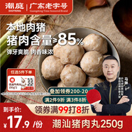 潮庭 正宗汕頭手工豬肉丸 250g/袋  夜宵關(guān)東煮火鍋食材燒烤煮湯必備