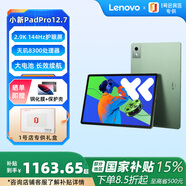 聯(lián)想（Lenovo）小新PadPro12.7 2025款 娛樂辦公學(xué)習(xí)游戲平板電腦2.9k 144Hz 8+256GWIFI小青新+殼膜套裝