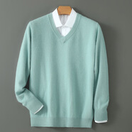EMZ鄂爾多斯羊絨衫男V領(lǐng)套頭加厚貂絨衫秋冬寬松羊毛衫大碼打底貂絨 薄可綠 S