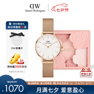 丹尼爾惠靈頓（DanielWellington）DW手表女 簡(jiǎn)約歐美表鋼帶石英女士手表七夕禮物送女友DW00100219