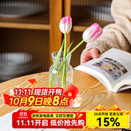 川島屋透明玻璃小花瓶擺件客廳插花干花水養(yǎng)網(wǎng)紅ins風(fēng)玻璃瓶 玻璃花瓶(圓肚)
