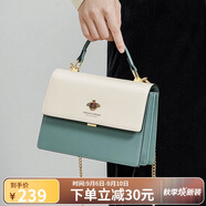 蔻一（Cnoles）包包女士款2025年最新款牛皮女生高端斜挎包通勤大容量單肩包