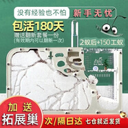 趣馭 螞蟻城堡螞蟻工坊養螞蟻巢穴觀(guān)察生態(tài)箱寵物玩具六一兒童節禮物 白沙版+2蟻后150工(鋪道蟻)
