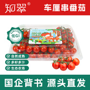 京鮮生 串串櫻桃小番茄450g*2盒 生吃小西紅柿 新鮮水果 源頭直發(fā)