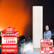 格力（GREE）2匹  京舒享 一級(jí)變頻冷暖 67℃高溫制冷 立柜式空調(diào)柜機(jī) KFR-50LW/(50520)FNhAc-B1(WIFI)