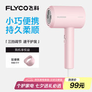 飛科（FLYCO）負離子電吹風(fēng)機家用大功率冷熱風(fēng)恒溫護發(fā)吹風(fēng)筒FH6291