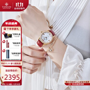 天珺（TANGIN）瑞表女士手表 全自動機械女表 時尚鑲鉆名媛 送女友