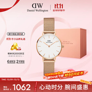 丹尼爾惠靈頓（DanielWellington）DW女士手表時尚經典歐美表女28mm石英表生日禮物 DW00100219