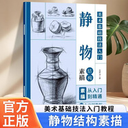 靜物結構素描 美術(shù)基礎技法入門(mén)教程書(shū)籍零基礎自學(xué)素描從入門(mén)到精通蘋(píng)果梨子香蕉陶罐花瓶水壺不銹鋼壺靜物素描繪畫(huà)技法教程書(shū)籍 【單冊】靜物結構素描