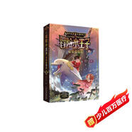 冒險(xiǎn)小王子 奇特的男孩 