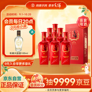 勁牌 毛鋪苦蕎酒  喜蕎酒金蕎 50度 500ml*6瓶 整箱裝 喜宴