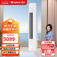 格力（GREE）2匹 天儀 一級能效 變頻冷暖 凈菌自潔 出風(fēng)口可拆洗 立柜式空調柜機 KFR-50LW/(50504)FNhAa-B1