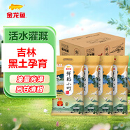 金龍魚(yú) 東北大米 鮮稻小町 壽司香米 10斤*4袋/箱 40斤整箱裝
