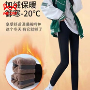 貓人（MiiOW）特厚保暖褲加絨加厚秋冬女外穿鯊魚褲高腰收腹高彈力顯瘦休閑褲 650克平方面料特厚絨】 零下20度 L 建議95-110斤