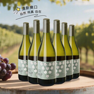 CASTLEBRAE搶鮮新西蘭馬爾堡長相思干白葡萄酒 卡斯博恩小綿羊 小綿羊長相思干白750ml*6