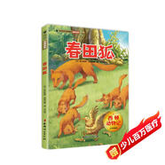 西頓動(dòng)物記·春田狐 少年科普版 西頓野生動(dòng)物故事集 百年經(jīng)典動(dòng)物文學(xué)