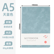 申士（SHEN SHI） A5商務(wù)筆記本子膚感皮面記事本復古筆記本日記本軟面抄記事本可印LOGO 100張 JD25-100天藍1本