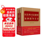 民法典司法解釋與案例指導全書（含民法典合同編通則司法解釋）