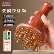 俞兆林黃銅經(jīng)絡(luò)刷按摩刷肚子帶脈經(jīng)絡(luò)刷全身通用刷背部揉腹木梳減肥刷