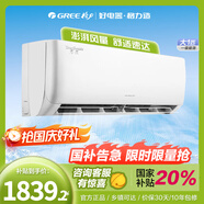 格力（GREE）空調1.5匹掛機/大1匹國家補貼 天儀/云佳PRO  新一級能效 變頻冷暖 快速制冷自清潔家用臥室壁掛式 大1匹 一級能效 天儀 入門(mén)款 皓雪白色