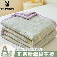 花花公子（PLAYBOY）新疆棉花被空調(diào)被卡通夏涼被夏季可水洗宿舍單人薄款被子兒童被芯 春意 180*200cm