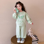 G.duck品牌童裝女童春秋裝套裝兒童洋氣女寶寶衣服可愛(ài)超萌衛衣兩件套潮 蝴蝶網(wǎng)紗休閑套裝 綠色 100