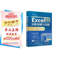 Excel電商數據分析基礎與實(shí)踐 巧用AI工具+Excel 高效搞定電商數據分析